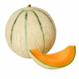Melon Moyen Calibre