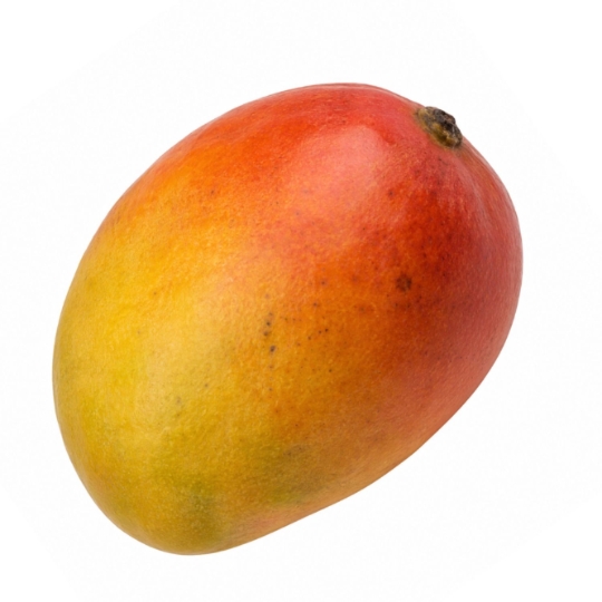 Mangue