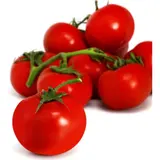 Tomates rondes en grappe vrac
