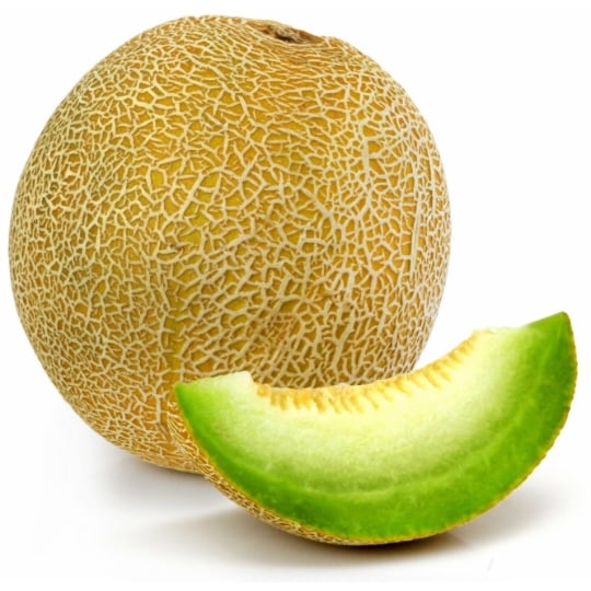 Melon Galia