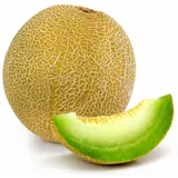 Melon Galia