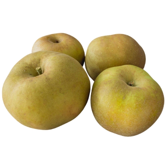 Pomme Grise du Canada