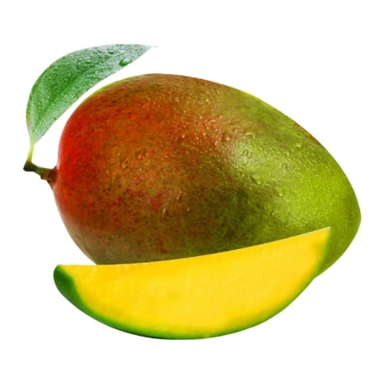 Mangue Bio