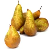 Poires