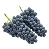 Raisin noir Muscat vrac FILIERE QUALITE CARREFOUR