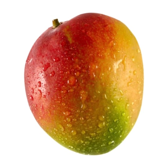 Mangue mûrie sur arbre