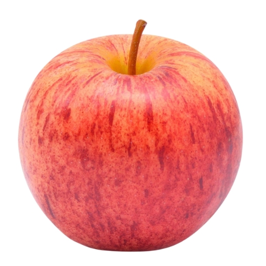 Pomme Gala Bio à la pièce