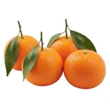 Clémentines Vrac