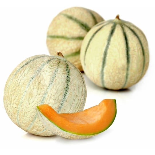 Melon baby