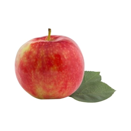 Pommes Bellasweet vrac Bio