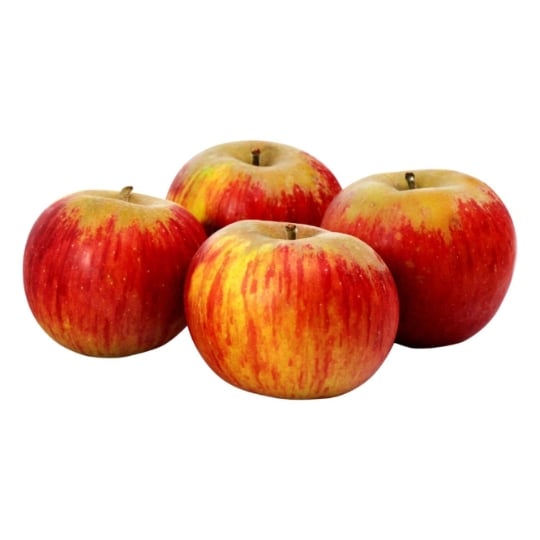 Pommes Reinette Armorique vrac