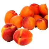 Abricots agroécologie REFLETS DE FRANCE