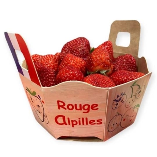 Fraises rondes Alpilles