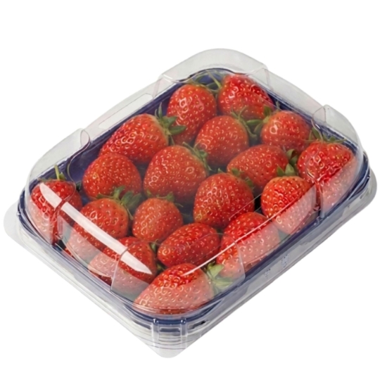 Fraises Gariguette CARREFOUR SELECTION