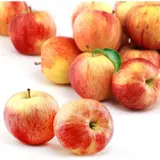 Pommes Gala
