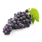 Raisin noir Bio