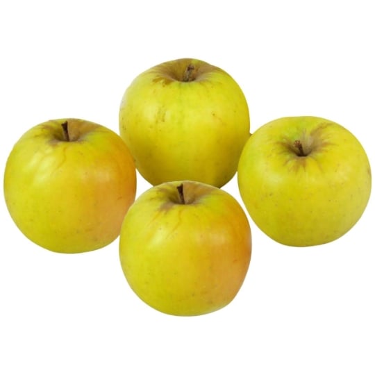 Pommes Opal vrac Bio