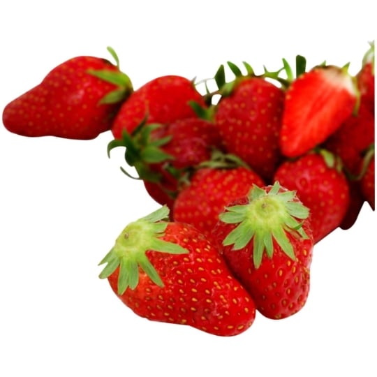 Fraises agroécologie REFLETS DE FRANCE
