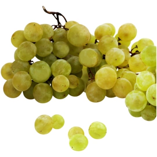Raisin blanc sans pépins Bio