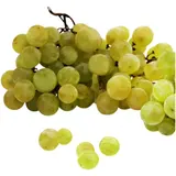 Raisin blanc sans pépins Bio