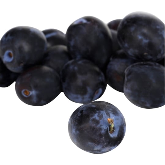 Prunes d'Ente REFLETS DE FRANCE
