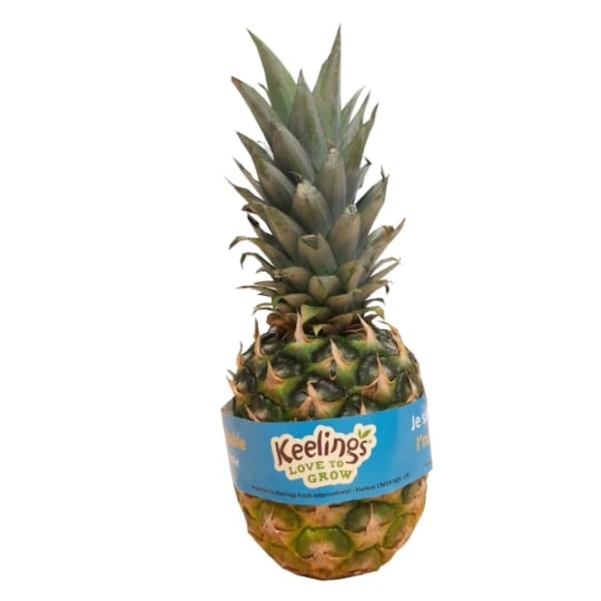 Ananas Bio Extra Sweet