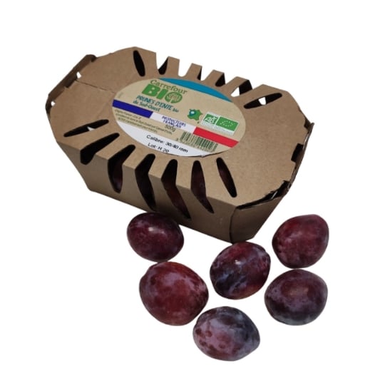 Prunes d'Ente Bio