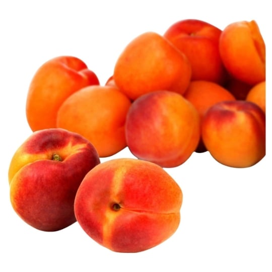 Abricots Agroécologie REFLETS DE FRANCE