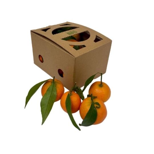 Clémentines à feuille Bio