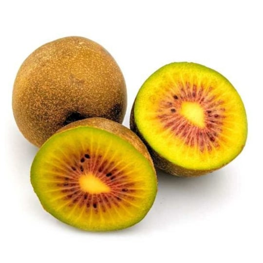 Kiwi rouge