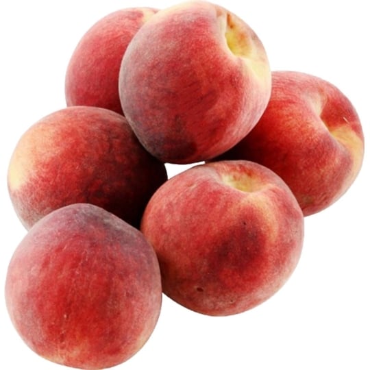 Pêche