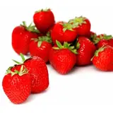 Fraises rondes