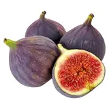 Figues fraîches