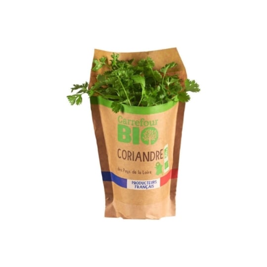Coriandre en pot Bio