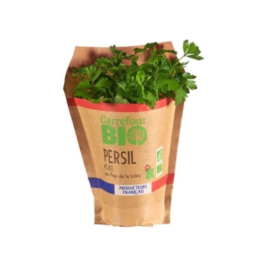 Persil plat en pot Bio