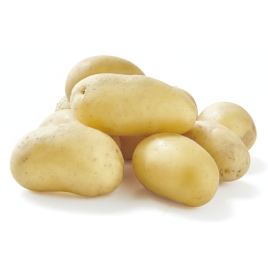 Pomme de Terre Ratte