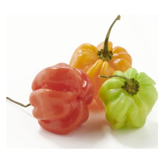 Piment Antillais