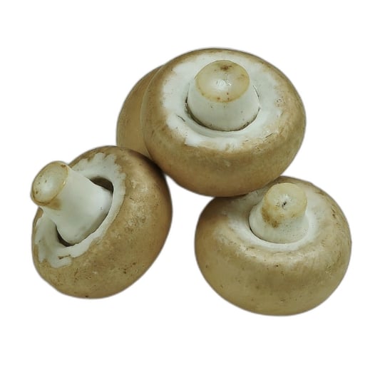 Champignons Moyens Pieds Entier