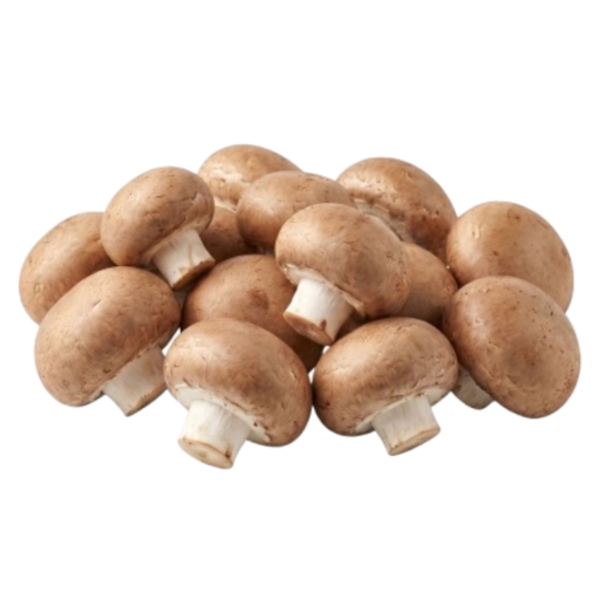 Champignons Blonds
