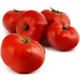 Tomates rondes charnues à farcir vrac