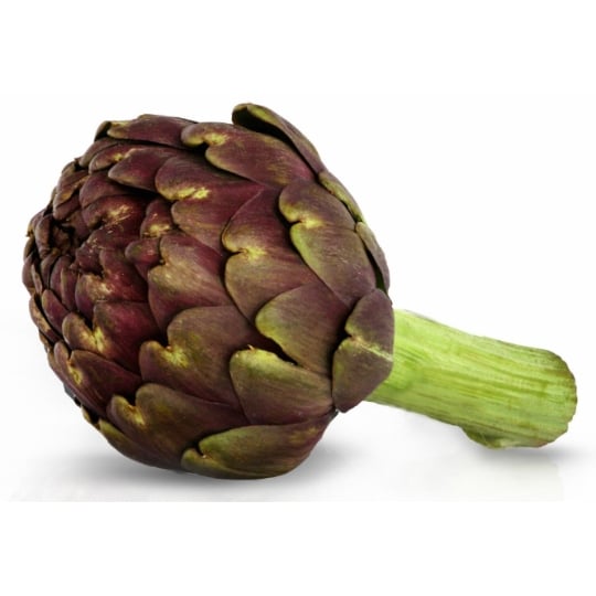 Artichaut violet