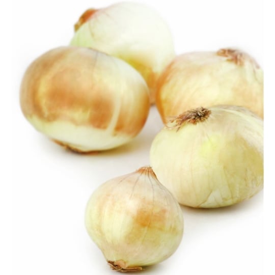 Oignons doux des Cévennes agroécologie REFLETS DE FRANCE