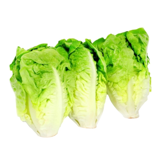 Cœur de Sucrine