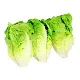 Cœur de Sucrine