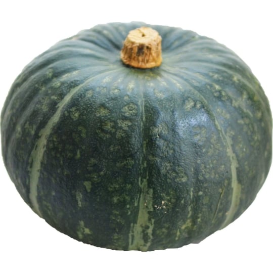 Courge Buttercup Bio