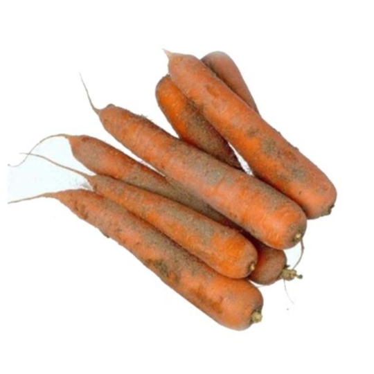 Carottes de Sable Vrac REFLETS DE FRANCE