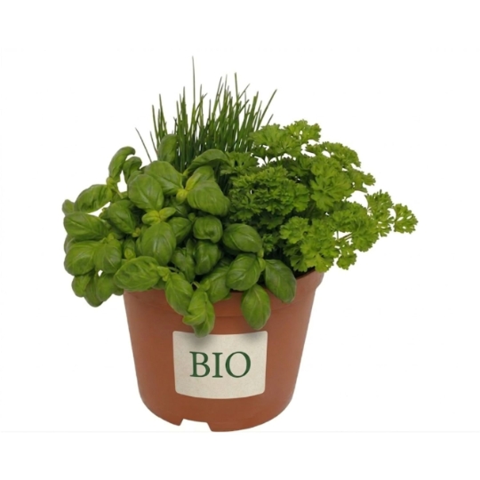 Trio d'Herbes Bio