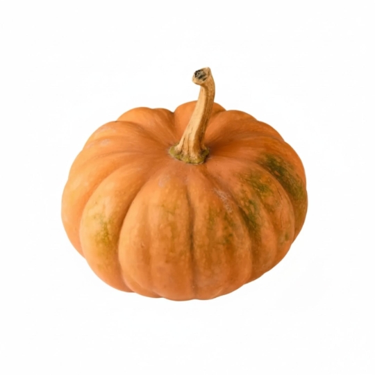 Courge Musquée