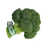 Brocoli Bio