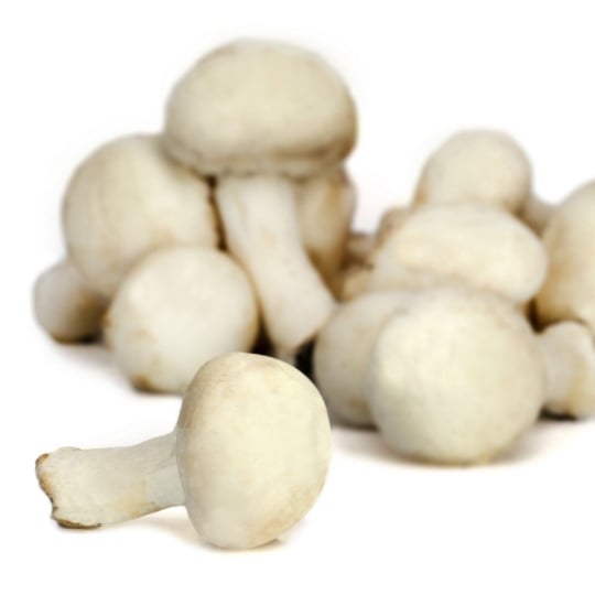 Champignons blancs  PETIT PRIX